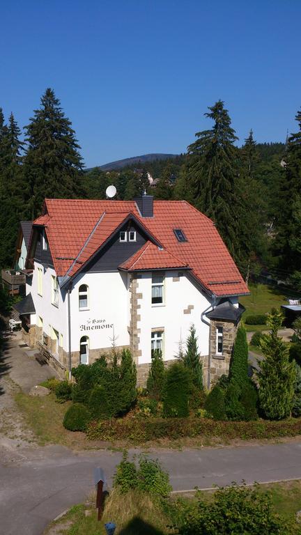 Heine Apartment-Friedegerns Fewo Schierke Exterior foto